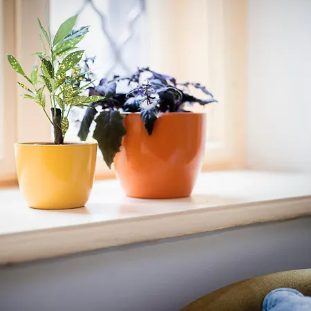 Appartement Budapestayz - Lonyay Budapest