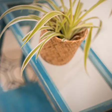 Budapestayz - Lonyay Budapest